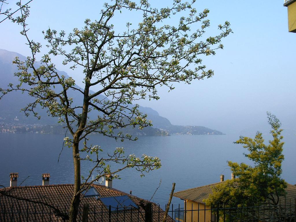 B&B Sosta Sul Lago Lezzeno Exterior foto